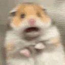 scaredhamster emote