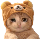 kitty_sad emote