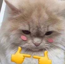 Cat_blush_1 emote