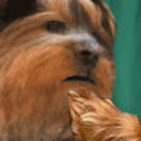 bbAlright emote