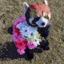 redpandaFLOWERS emote