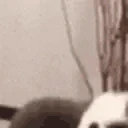 CatSlam emote