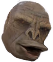 craig_pog emote