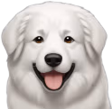 greatpyrenees emote