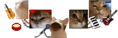 catBAND emote