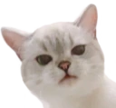Nana_Wtf emote