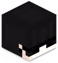 Minecraft_Head emote