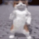 PATOQUEMBA emote