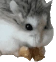 NOMNOM emote