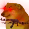 cheems_thisiswherethefunbegin2 emote