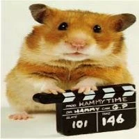 MovieHamster emote