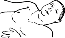 ParisOgre emote