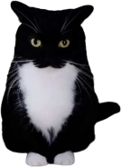 silly_cat emote