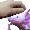 PETTHECUBIC emote