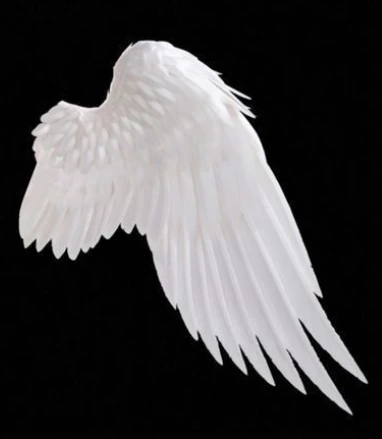 wingR emote