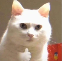 Cat_thumbs_up sticker