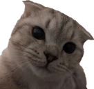vuh emote