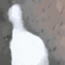 Sillygoose emote