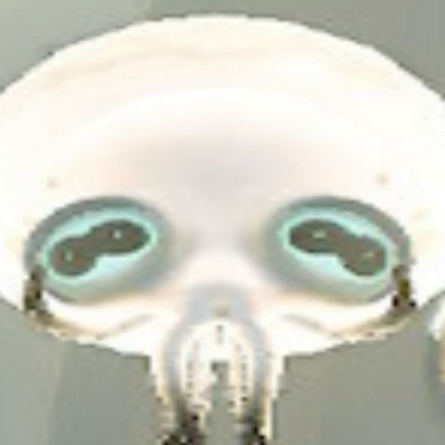 SmushedSmollusk static emote