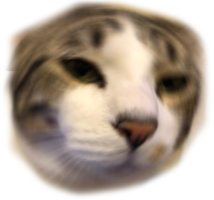 trevorsayswut emote