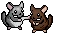 shny_fight emote