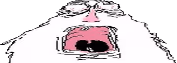 Ogony emote