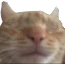 blind emote