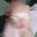 GigaKitten emote