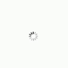 appleloading2 static emote