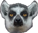 Lemur emote