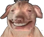 creaturevibE emote