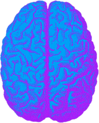 BrainScan emote