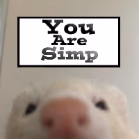 rat_youaresimp emote