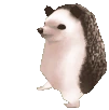 hedgehogSpin emote