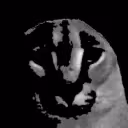 FloppaDespair emote