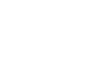 Spotify_Shuffle emote