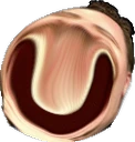 UMEGALUL emote