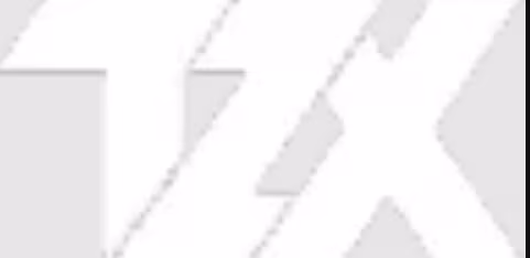 tzx emote