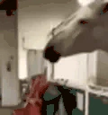 horseJAM emote