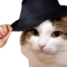 kiisu_tiphat emote