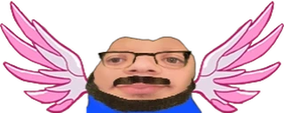 wings221 emote