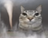 air emote