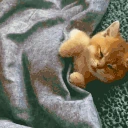 gn emote