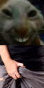 xddpg emote
