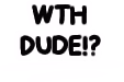 WTH_DUDE emote