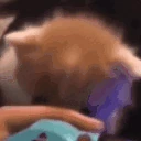 3 emoji