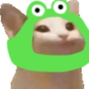 pauseCat emote