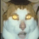 cating emote