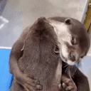otterHug emote