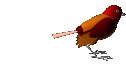 WeirdBird emote